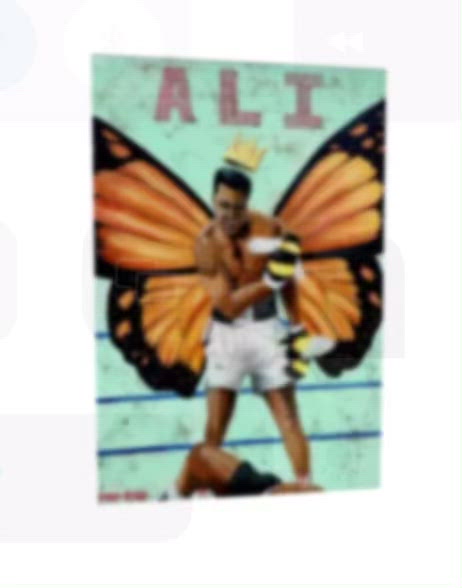 Float like a Butterfly Canvas Print